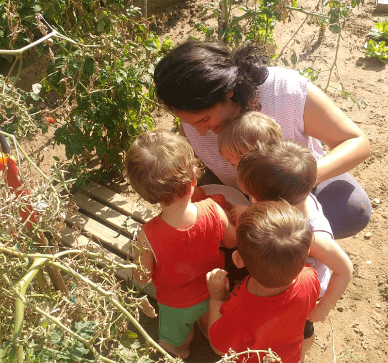 i bambini mentre raccolgono i pomodori dell'orto nel giardino insieme alla maestra nel nido in famiglia